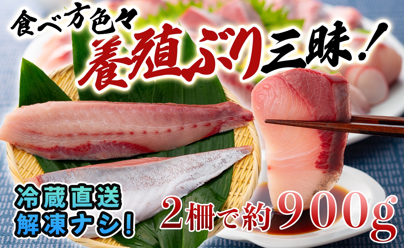養殖ぶり 2柵セット｜養殖ぶり ロイン サク うみのファーム ぶり 鰤 ブリ 新鮮 真空 魚介 刺身 ぶりしゃぶ カルパッチョ 丼 寿司 国産 贈答 ギフトお歳暮 配達日指定可 産地直送 冷蔵配送 おすすめ 人気 高知県 大月町産