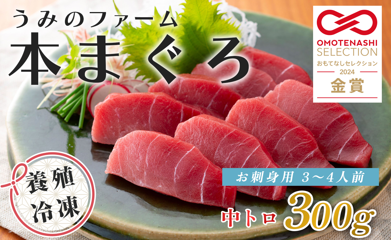 国産 養殖本マグロ 中トロ300g｜刺身用 冷凍 まぐろ 鮪 柵 家庭用 夫婦 晩酌 ギフト 御歳暮 御中元 内祝い 手土産 海鮮丼 寿司 手巻き 急速冷凍 解凍簡単 贈答 お祝い 年末年始 産地直送 配達日指定可 うみのファーム 高知県