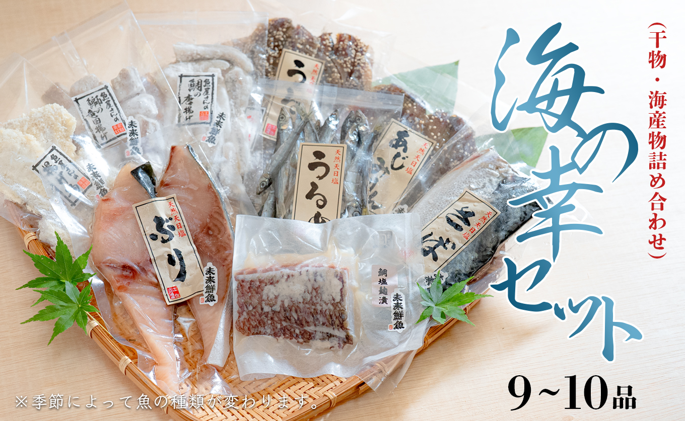 海の幸 干物セット 詰め合わせ 9～10品入り 鯛 うるめ あじ さば ぶり｜塩麹漬け みりん干し おかず 朝食 弁当 夕食 手作り 魚介 海鮮 海産物 セット 新鮮 冷凍 ギフト 贈答用 ご飯のお供 酒の肴 贅沢 グルメ 高知県 大月町産