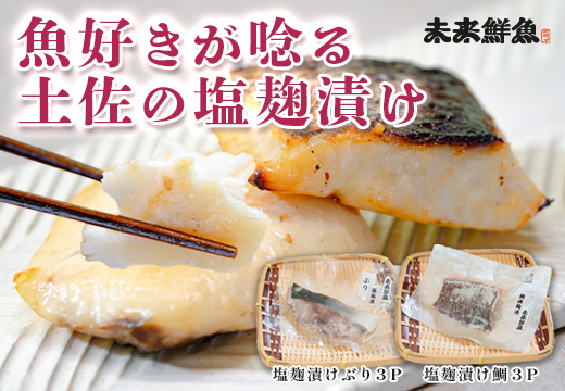 塩麹漬け 鯛 ぶり 切り身 各3P セット｜真鯛 鰤 タイ ブリ 塩麹 漬け 国産  海鮮 海産物  詰め合わせ 天日塩 和食 おかず おすすめ 冷凍食品 お取り寄せ グルメ ギフト 贈答用 お中元 お歳暮 内祝い 家庭用 簡単調理 焼くだけ