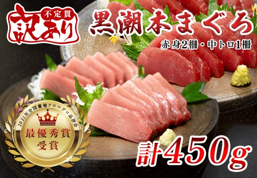 【訳アリ】養殖本マグロ 赤身 中トロセット 450g 黒潮本まぐろ｜不定貫 不揃い 2種 刺身用 家庭用 養殖まぐろ 最優秀賞受賞 日本一 配達日指定可 本まぐろ まぐろ 鮪 訳あり ワケあり 小分け 丼 寿司 海鮮 魚 柵 産地直送 高知県 大月町
