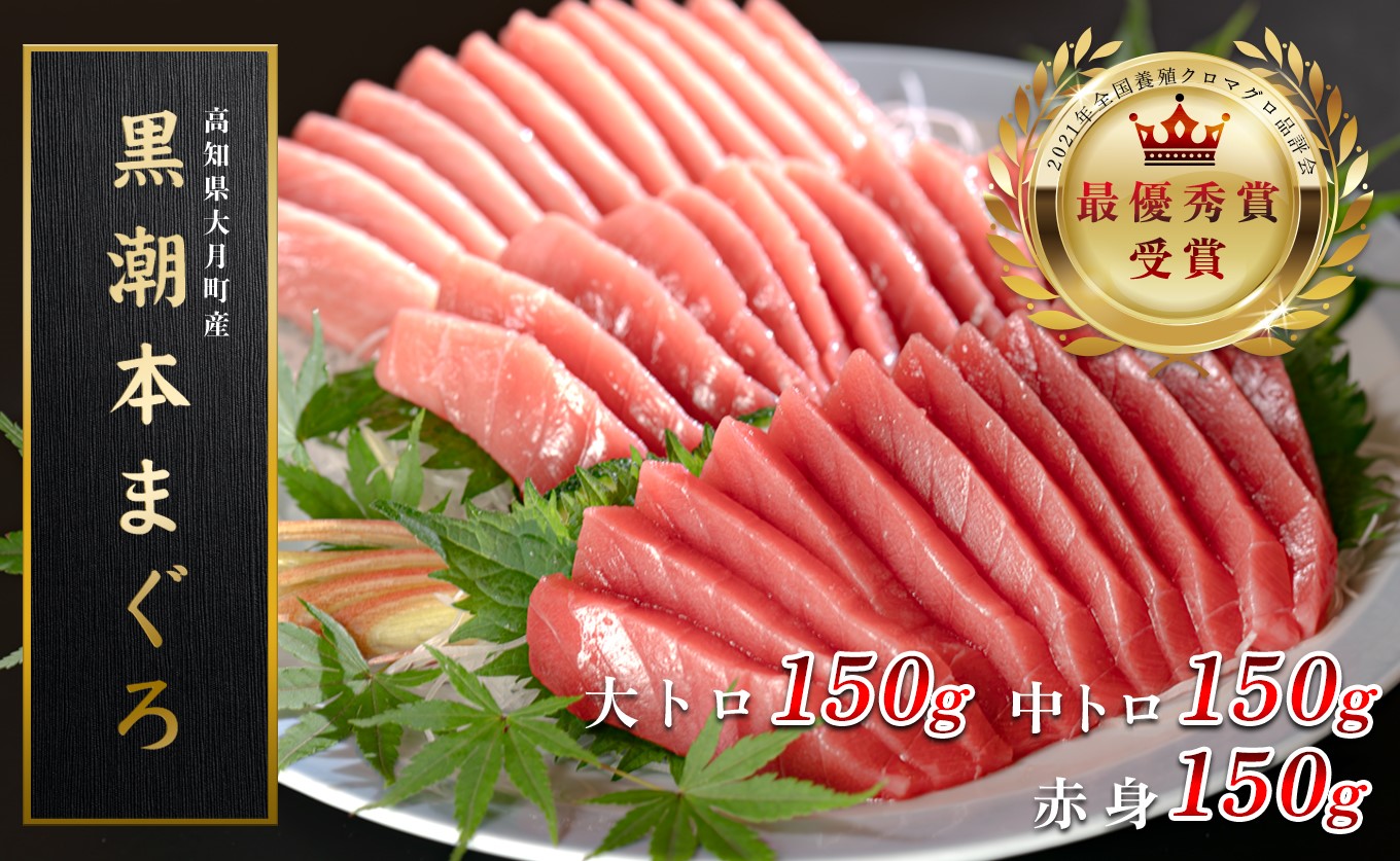【高知県産 養殖本マグロ】大トロ・中トロ・赤身450g 3種 黒潮本まぐろ｜刺身用 最優秀賞受賞 日本一 本まぐろ まぐろ 鮪 トロ 小分け 丼 寿司 手巻き 急速冷凍 解凍簡単 贈答 ギフト お祝い 年末年始 産地直送 高知県 大月町