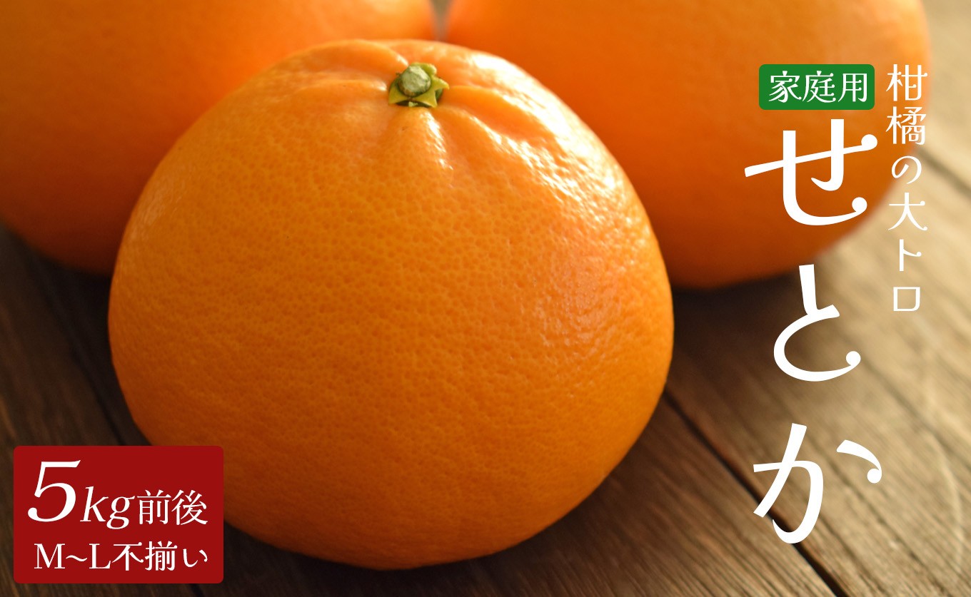 せとか 約5kg 家庭用 高知県産 ハウス栽培｜ハウスみかん 甘い 濃厚 ジューシー 香り豊か 希少 柑橘 柑橘の大トロ 訳あり 果物 フルーツ プレミアム 国産 大月町 人気 美味しい おいしい おすすめ 旬 旬の果物 旬のフルーツ