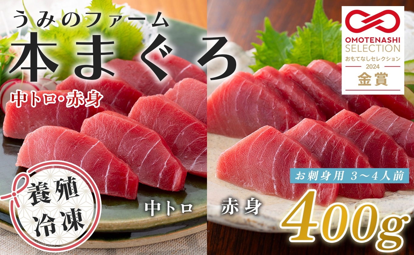 国産 養殖本マグロ 2種盛 中トロ 赤身 400g｜刺身用 冷凍 まぐろ 鮪 柵 家庭用 夫婦 晩酌 ギフト 御歳暮 御中元 内祝い 海鮮丼 寿司 手巻き 急速冷凍 解凍簡単 贈答 お祝い 年末年始 産地直送 配達日指定可 うみのファーム 高知県