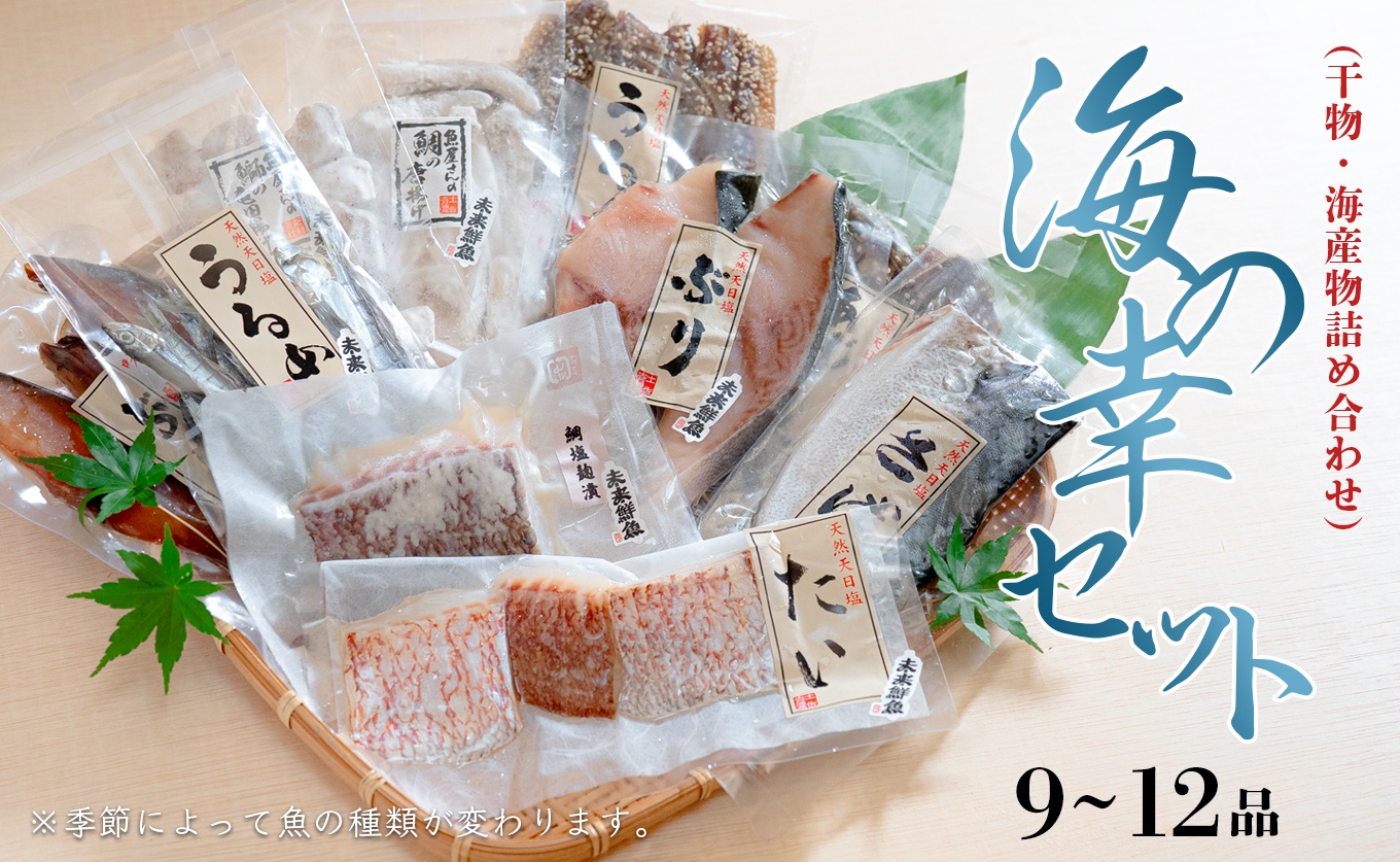 海の幸 干物セット 詰め合わせ 9～12品入り 鯛 うるめ あじ さば ぶり｜塩麹漬け みりん干し おかず 朝食 弁当 夕食 手作り 魚介 海鮮 海産物 セット 新鮮 冷凍 ギフト 贈答用 ご飯のお供 酒の肴 贅沢 グルメ 高知県 大月町産