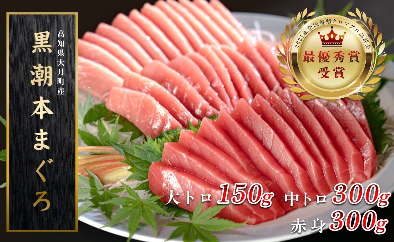 【高知県産 養殖本マグロ】大トロ・中トロ・赤身750g 3種 黒潮本まぐろ｜刺身用 最優秀賞受賞 日本一 本まぐろ まぐろ 鮪 トロ 小分け 丼 寿司 手巻き 急速冷凍 解凍簡単 贈答 ギフト お祝い 年末年始 産地直送 高知県 大月町