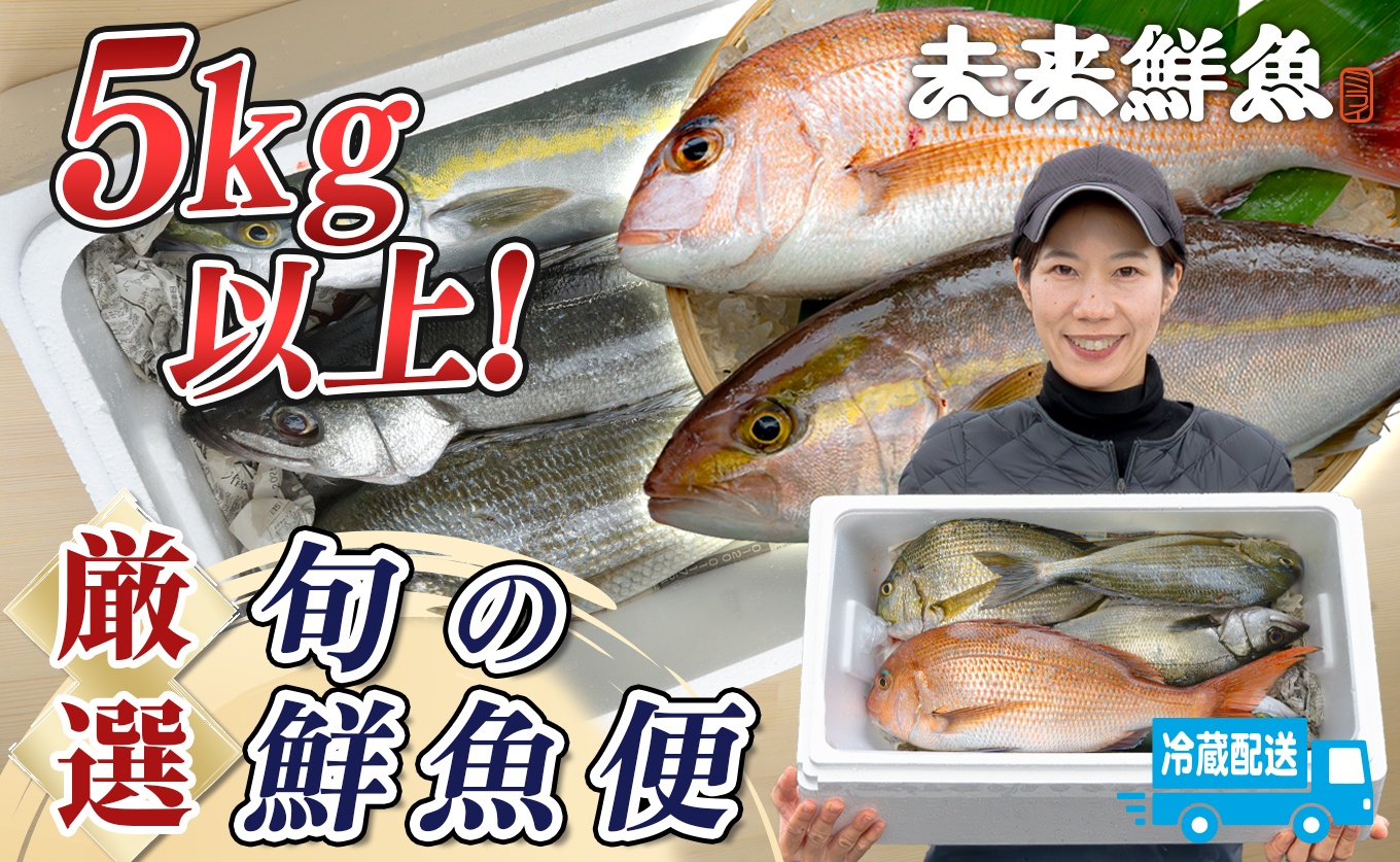 鮮魚 5kg～ 鮮魚ボックス 詰め合わせ 刺身 刺し身 さしみ 海鮮丼 寿司 鮮度抜群 産地直送 海の幸 海鮮 魚介 新鮮 厳選 ギフト お取り寄せ おすすめ 人気 お中元 お歳暮 高知県産