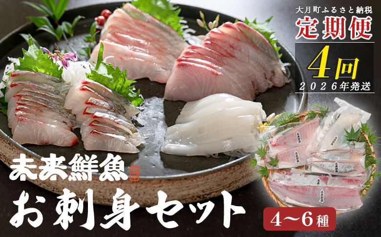 [定期便4回]旬のお刺身用柵セット 4〜6種 刺身 高知県産|盛り合わせ 食べ比べ 鮮度抜群 産地直送 海の幸 海鮮 魚介 新鮮 おつまみ 酒 海鮮丼 寿司 厳選 ギフト おすすめ 人気 お盆 お中元 お歳暮 カルパッチョ お取り寄せ グルメ