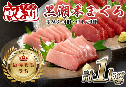 【訳アリ】養殖本マグロ 赤身 中トロセット 1kg 黒潮本まぐろ｜不定貫 不揃い 2種 刺身用 家庭用 養殖まぐろ 最優秀賞受賞 日本一 配達日指定可 本まぐろ まぐろ 鮪 訳あり ワケあり 小分け 丼 寿司 海鮮 魚 柵 産地直送 高知県 大月町