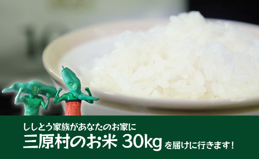 ししとう家族の宅配便！！