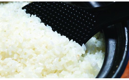 お米とお茶セット！「特別栽培米」水源のしずく＋煎茶