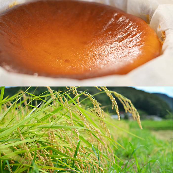 特別栽培米「水源のしずく」使用!米粉のバスクチーズケーキ