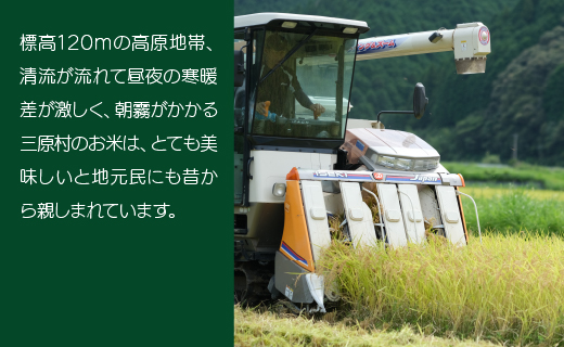 ししとう家族の宅配便！！