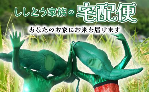 ししとう家族の宅配便！！