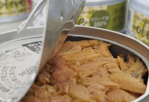 熟成 黒潮 ツナ缶 缶詰 8缶 セット 鰹 かつお ツナ缶詰 ツナ 缶詰め 防災 災害 備蓄 非常食 おかず プレゼント ギフト 贈答用 贈り物 お中元 お歳暮 魚 魚介類 魚貝 海鮮 日常食 アレンジ 惣菜 サラダ 副菜 オリーブオイル 天日塩 ふるさと納税缶詰 ふるさと納税防災 高知 黒潮町 ［1116］