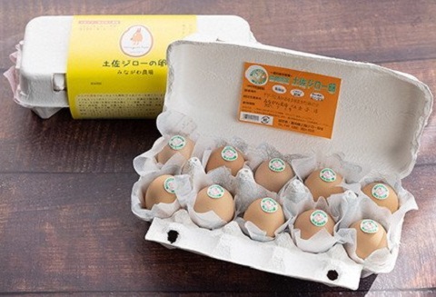 放し飼い 土佐ジロー 卵 20個 入り 土佐 地鶏 地鶏卵 天然卵 たまご 玉子 特産品 濃厚 卵かけご飯 TKG だし巻き卵 プリン 茶碗蒸し スイーツ 焼き菓子 人気 高知 黒潮町 ふるさと納税卵 高知県［1177］