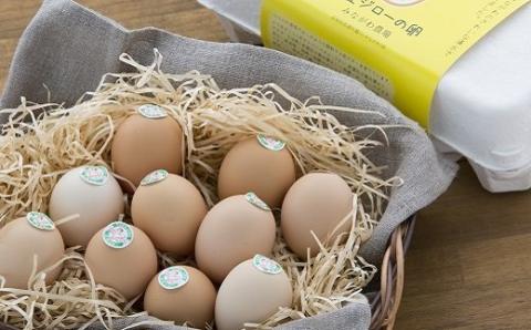 放し飼い 土佐ジロー 卵 50個 入り 土佐 地鶏 地鶏卵 天然卵 たまご 玉子 特産品 濃厚 卵かけご飯 TKG だし巻き卵 プリン 茶碗蒸し スイーツ 焼き菓子 人気 高知 黒潮町 ふるさと納税卵 高知県［1178］