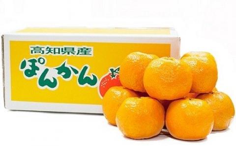 ポンカン 5kg 高知県 産 ( ご 家庭用 ) ぽんかん みかん 柑橘 蜜柑 ミカン 果物 フルーツ 国産 植田農園 高知 黒潮町［1183］