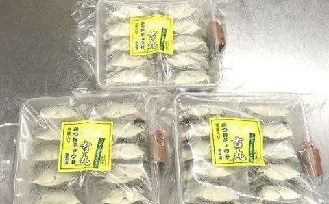 かつお ギョウザ 生姜 入り 3パック セット カツオ ぎょうざ ご当地 鰹 餃子 お惣菜 冷凍食品 おかず 惣菜 おつまみ つまみ 簡単調理 海鮮 魚介類 魚貝 魚 お魚 ショウガ しょうが 徳吉丸 高知 黒潮町［1284-2］
