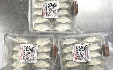 かつお ギョウザ にんにく 入り 3パック セット カツオ ぎょうざ ご当地 鰹 餃子 お惣菜 冷凍食品 おかず 惣菜 おつまみ つまみ 簡単調理 海鮮 魚介類 魚貝 魚 お魚 ニンニク 大蒜 徳吉丸 高知 黒潮町［1285-2］