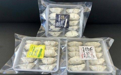 かつお ギョウザ 3種3パック セット カツオ ぎょうざ ご当地 鰹 餃子 お惣菜 冷凍食品 おかず 惣菜 おつまみ つまみ 簡単調理 海鮮 魚介類 魚貝 魚 お魚 ショウガ しょうが 生姜 にんにく ニンニク 徳吉丸 高知 黒潮町［1286-2］