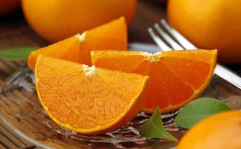 せとか 温室せとか 高級柑橘 セトカ Lサイズ 秀品 14個 約3kg 柑橘 果物 フルーツ みかん 蜜柑 高知 黒潮町 産地直送 柑橘類 オレンジ系 濃厚 ジューシー 旬 期間限定 数量限定 季節限定 人気 柑橘ギフト ご家庭用 フルーツセット 国産 せとか3kg［1429-2］