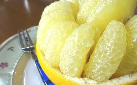 土佐文旦 10kg 2L 3L ぶんたん 文旦 ご家庭用 植田農園 高知 黒潮町 柑橘 柑橘類 フルーツ 果物 産地直送 18個前後 糖度11 12 文旦セット 自宅用 家庭用文旦 大玉 中玉 文旦10kg 文旦2L 文旦3L 文旦高知 文旦柑橘 旬 フルーツセット 文旦箱入 文旦詰め合わせ 文旦土佐 文旦黒潮町［1537-2］