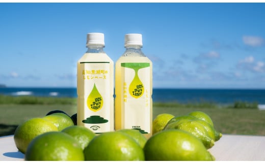 グリーンレモン 果汁＆ベース（シロップ）セット（黒潮町産グリーンレモン使用）［1649-2］
