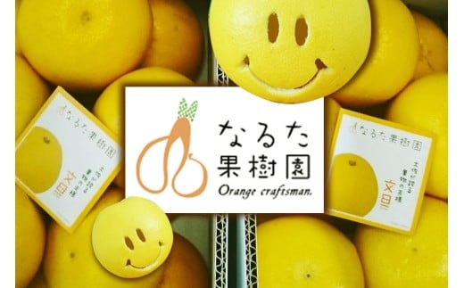 成田果樹園の土佐文旦 10kg (家庭用) L～4L 混合 成田果樹園 文旦10kg L 2L 3L 4L 10キロ 大玉 文旦大玉 文旦4L 3l 4l ぶんたん 文旦 柑橘 柑橘類 果物 フルーツ 文旦高知 高知文旦 高知 高知県 黒潮町 土佐 文旦 土佐文旦 文旦家庭用 家庭用 家庭用文旦 文旦黒潮町 文旦成田果樹園 成田果樹園文旦 冬文旦 春文旦 ［1687］