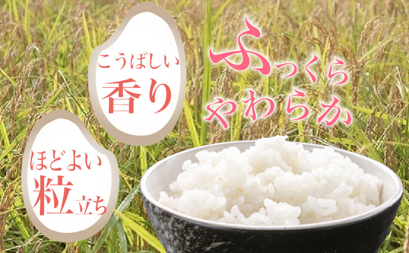 【 令和7年産 】 白米 10kg あさぎり 米 10キロ 香り米 精米 国産米 香米 おこめ アサギリ 空海ゆかりの里 うまにの おいしい お米 ふるさと納税米 ふるさと納税お米 2025年産 数量限定 期間限定 季節限定 高知 黒潮町[1700] 10kg