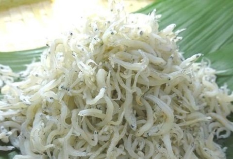 カネニのじゃこづくし 釜茹で ちりめん カチリ カエリ 4袋 セット 天然 天日干し ちりめんじゃこ じゃこ かまゆで チリメン 釜ゆで ジャコ 煮干し にぼし いりこ 詰め合わせ しらす しらす干し シラス 魚 お魚 海鮮 魚貝 魚介類 だし 出汁 おやつ おつまみ 高知 黒潮町 ［1095］