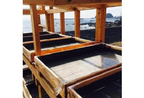 塩丸 苦汁 にがり 18リットル 18L 海水 塩 天日塩 ミネラル 豊富 調味料 料理 職人 手作り ふるさと納税にがり ふるさと納税調味料 高知 黒潮町［1174-2］