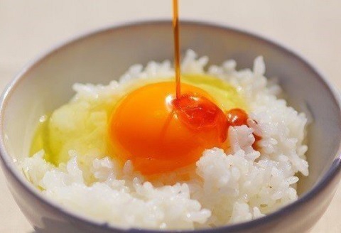 放し飼い 土佐ジロー 卵 20個 入り 土佐 地鶏 地鶏卵 天然卵 たまご 玉子 特産品 濃厚 卵かけご飯 TKG だし巻き卵 プリン 茶碗蒸し スイーツ 焼き菓子 人気 高知 黒潮町 ふるさと納税卵 高知県［1177］