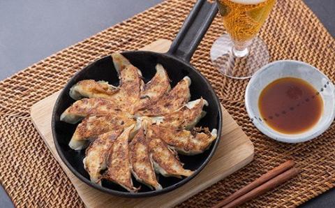 かつお ギョウザ 3種4パック セット カツオ ぎょうざ ご当地 鰹 餃子 お惣菜 冷凍食品 おかず 惣菜 おつまみ つまみ 簡単調理 海鮮 魚介類 魚貝 魚 お魚 ショウガ しょうが 生姜 にんにく ニンニク 徳吉丸 高知 黒潮町［1274-2］