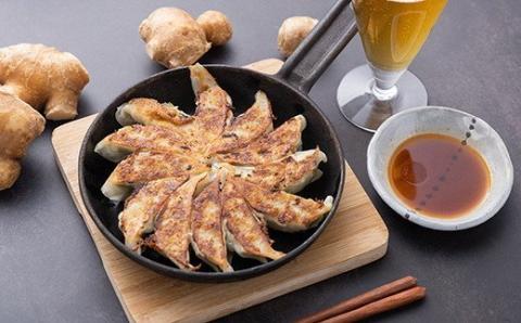 かつお ギョウザ 生姜 入り 3パック セット カツオ ぎょうざ ご当地 鰹 餃子 お惣菜 冷凍食品 おかず 惣菜 おつまみ つまみ 簡単調理 海鮮 魚介類 魚貝 魚 お魚 ショウガ しょうが 徳吉丸 高知 黒潮町［1284-2］