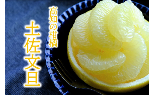 土佐文旦 5kg L〜3L ご家庭用 高知 黒潮町 文旦 ぶんたん 柑橘 フルーツ 果物 文旦5kg 家庭用文旦 9〜12個 皮むき器 ムッキーちゃん付き 産地直送 citrus 文旦セット 大玉 小玉 サイズ統一 高知文旦 国産文旦 柑橘類 旬 果物セット［1462］