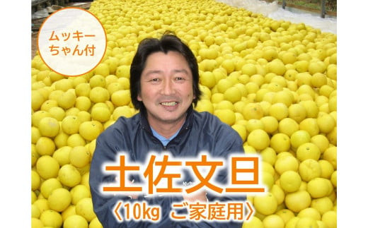 土佐文旦 10kg L〜3L ご家庭用 高知 黒潮町 文旦 ぶんたん 柑橘 フルーツ 果物 文旦10kg 家庭用文旦 大玉 小玉 サイズ統一 17〜25個 皮むき器 ムッキーちゃん付き 産地直送 文旦セット 柑橘類 旬 文旦 高知文旦 citrus 国産文旦 果物セット［1463-2］