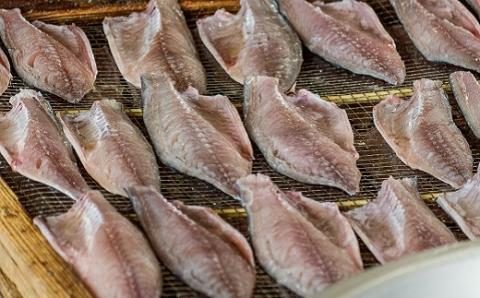 さば 干物 片身 15枚 鯖 サバ 国産 真サバ 真さば 冷凍 ひもの 干し 干し魚 魚介類 魚 海鮮 魚介 個包装 ギフト 贈り物 贈答用 高知県 黒潮町［1512］