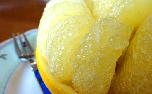 土佐文旦 10kg 4L ご家庭用 文旦 ぶんたん 植田農園 高知 黒潮町 柑橘 柑橘類 フルーツ 果物 大玉 文旦4L 文旦10kg 15個前後 糖度11 12 文旦セット 家庭用文旦 自宅用 文旦詰め合わせ 文旦箱 文旦高知 文旦産地直送 文旦大玉 文旦特産 文旦黒潮町 柑橘セット フルーツセット 冬文旦 春文旦［1536-3］