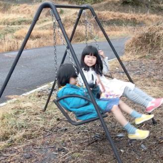 家庭用 ブランコ 2人乗り ワイドタイプ ツヨニー ガーデニング アウトドア アウトドアグッズ 天然木 アイアンウッド インテリア ぶらんこ おもちゃ プレゼント ギフト 贈り物 高知県 黒潮町［(S)1585-2］