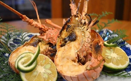 【冷凍】 天然 伊勢海老 特大 3.5kg（4～6尾） 黒潮町 ［1624］