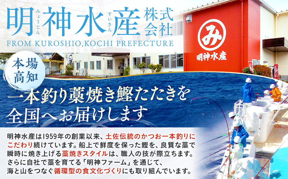 【 3カ月定期便 】かつおのたたき 定期便 3回 各 500g 明神水産 わら焼き 南方鰹 かつおたたき 鰹 カツオ 藁焼き 鰹のたたき 鰹たたき ふるさと納税かつお 故郷納税 魚 さかな 海鮮 刺し身 お刺身 本場 高知 高知県 黒潮町［(H)1702］
