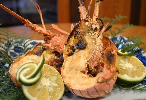 天然 伊勢海老 1.5kg（3～6尾） 新鮮 伊勢エビ 産地直送 エビ 海老 海鮮 魚介類 魚貝 えび お正月 お祝い ギフト 贈答用 贈り物 冷凍 高知 黒潮町 ［1084-2］