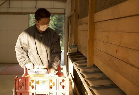 放し飼い 土佐ジロー 卵 50個 入り 土佐 地鶏 地鶏卵 天然卵 たまご 玉子 特産品 濃厚 卵かけご飯 TKG だし巻き卵 プリン 茶碗蒸し スイーツ 焼き菓子 人気 高知 黒潮町 ふるさと納税卵 高知県［1178］