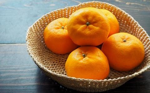 ポンカン 10kg 高知県 産 ( ご 家庭用 ) ぽんかん みかん 柑橘 蜜柑 ミカン 果物 フルーツ 国産 植田農園 高知 黒潮町［1184］