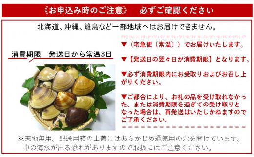 天然 ハマグリ 8年物 ( 加熱用 ) はまぐり 蛤 国産 海鮮 魚介類 魚貝 貝 高級 ギフト プレゼント 贈り物 お祝い 黒潮町 産 高知 高知県［1198］