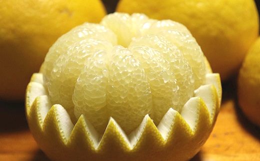 土佐文旦 10kg 3L〜4L ご家庭用 文旦 ぶんたん 柑橘 フルーツ 果物 サイズ混合 大玉 文旦10kg 高知 黒潮町 産地直送 旬 期間限定 季節限定 文旦セット 柑橘類  人気 家庭用文旦 食べ応え 12〜16個 楽木工房 文旦ギフト 高知 土佐 黒潮町［1406-2］