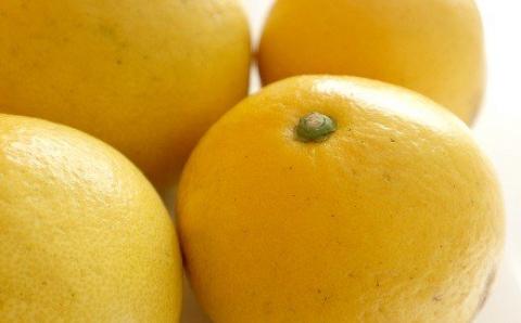 土佐文旦 5kg 2L 3L ご家庭用 文旦 ぶんたん 植田農園 高知 黒潮町 柑橘 柑橘類 フルーツ 果物 文旦5kg 文旦2L 文旦3L 9個前後 糖度11 12 文旦セット 家庭用文旦 自宅用 文旦詰め合わせ 文旦箱 文旦高知 文旦産地直送 文旦特産 大玉 中玉 柑橘セット フルーツセット 文旦黒潮町 冬文旦 春文旦［1535-2］