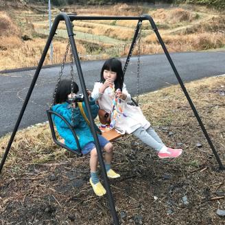 家庭用 ブランコ 2人乗り ワイドタイプ ツヨニー ガーデニング アウトドア アウトドアグッズ 天然木 アイアンウッド インテリア ぶらんこ おもちゃ プレゼント ギフト 贈り物 高知県 黒潮町［(S)1585-2］