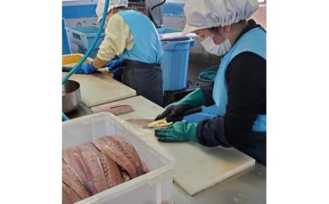 缶詰 マヒマヒ マヨグラタン 風 5缶 セット 防災 常温保存 非常食 保存食 常温 災害 備蓄 缶詰め かんづめ 長期保存 防災食 防災グッズ 防災用 魚介類 海鮮 白身魚 惣菜 おかず アウトドア キャンプ レジャー 人気 調味料 ギフト 贈答 ふるさと納税缶詰め ふるさと納税防災 四万十 産 高知 高知県 黒潮町［1597］